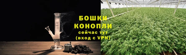 тгк Белокуриха