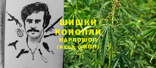 тгк Белокуриха