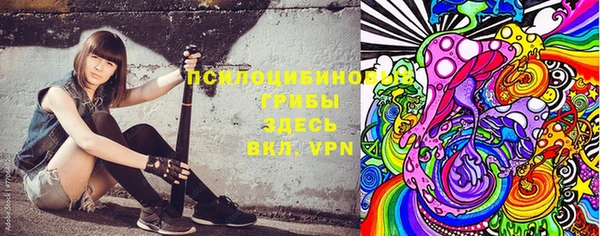 тгк Белокуриха